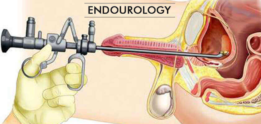 Dr. Zaheen Khan Urologist Purnia  | Dr. Sazda Salik Obstetrician & Gynocologist Purnia